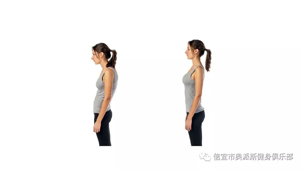 哪里有针对青少年的篮球声誉培养计划_2